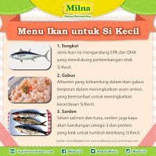Olahan ikan asam manis memang menggugah selera. Milna Seperti Yang Bunda Ketahui Ikan Kaya Akan Nutrisi Yang Bermanfaat Untuk Mengoptimalkan Perkembangan Otak Sekaligus Membantu Meningkatkan Kekebalan Tubuh Si Kecil Lalu Jenis Ikan Apa Sih Yang Baik Dan Aman