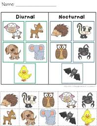 Learn about nocturnal animals, like bats and owls, that come out at night, and the noises they make. Diurnal And Nocturnal Animals Worksheets By Catherine S Tpt
