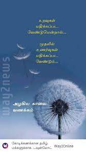 Pin By Lavanya On Tamil Quotes In 2020 Plants Flowers Dandelion