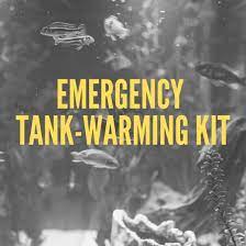 How To Prepare A Tropical Aquarium For Winter Blackouts Saltwater Tank Horse Care Fish Tank