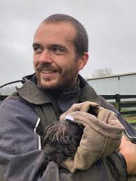 Donkey finds companions after losing mother