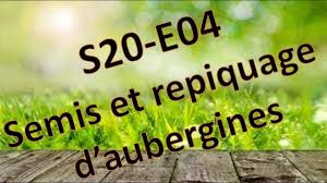 Le Citronnier Culture Plantation Taille Entretien Greffage Et Recolte Youtube