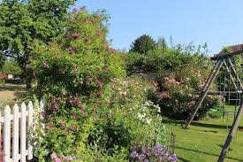 Notre Jardin Secret Le Long De La Riviere Jardins Jardin Secret Longues