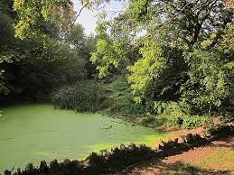 All the latest news, reviews, pictures and video on culture, the arts and entertainment. Leigh Woods Walking And Cycle Route