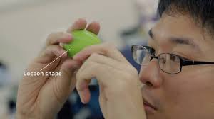 25 Campaigns That Will Win Lions in Cannes