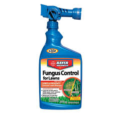 Bioadvanced Fungus Control For Lawns Pets Bioadvanced 32 Oz Ready To Spray Fungus Control For Lawns Products Bayer Advanced House Insects Lawn