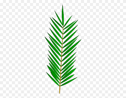 Boy, girl, palm tree, hammock, sands, coconut milk, bucket, shovel etc. Palm Branch Clip Art Look At Palm Branch Clip Art Clip Art Palm Sunday Clipart Stunning Free Transparent Png Clipart Images Free Download