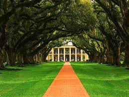 Subscribe to our weekly wallpaper newsletter and receive the week's top 10 most downloaded wallpapers. Android Wallpaper Oak Alley Plantation Louisiana United States Of America Best Free Download Wallpapers