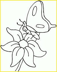 Kumpulan sketsa kupu kupu mudah hinggap di bunga, dari samping, berwarna, simple, terbang, kolase (biji), motif batik, untuk anak tk dan sd. Sketsa Kupu Kupu Dan Bunga Sekali