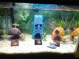 Aquarium mini unik akrilik pvc cupang ikan hiasrp30.000: 21 Hiasan Rumah Aquarium Inspirasi Top
