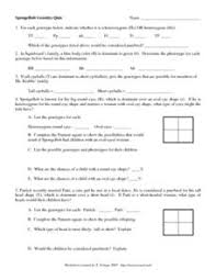 Complete the punnett square to show the probability for each flower color. Heterozygous Lesson Plans Worksheets Reviewed By Teachers