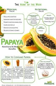 5 Great Reasons To Eat More Papaya Coconut Health Benefits Lemon Benefits Nutrition