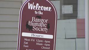 We use euthanasia only as a last humane option. Bangor Humane Society Offering Discounted Animal Adoptions