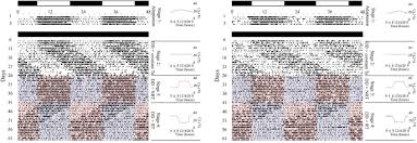 You will run the following command from its shell Entrainment Of Circadian Rhythms Of Locomotor Activity By Ambient Temperature Cycles In The Dromedary Camel Scientific Reports