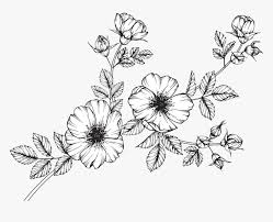 Pin By Brianna Barber On Painting Ideas In 2020 Flower Drawing Wildflower Drawing Flower Line Drawings