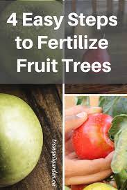 Easy video guide fruit trees are no stranger to aphids but can easily be controlled using simple methods. Fruit Tree Fertilizer How To Make And Apply Homemade Fertilizer Fruit Trees Fall Vegetables To Plant Fruit