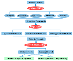 Ijms Free Full Text Systems Pharmacology In Small