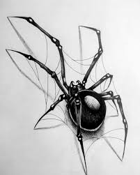 Pin By Tom Smo On Drawing Spider Drawing Spider Art Tattoo Design Drawings