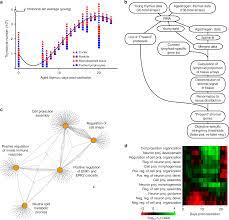 We did not find results for: Dynamic Changes In Epithelial Cell Morphology Control Thymic Organ Size During Atrophy And Regeneration Nature Communications