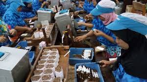 Check spelling or type a new query. Https Economy Okezone Com Read 2017 12 19 320 1832967 Mengintip Pabrik Rokok Milik Hartono Bersaudara Orang Terkaya Di Indonesia