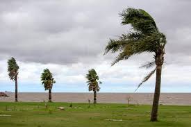 21 de mayo de 2021, 14:6 buenos aires, 21 may (prensa latina) la ciudad de buenos aires, su provincia hermana de igual nombre y varias localidades cercanas permanecen hoy alerta por la formación de un ciclón extratropical que se posará sobre argentina. Un Ciclon Extratropical Afecta Al Sur De Uruguay Con Vientos Intensos Sociedad Edicion America Agencia Efe
