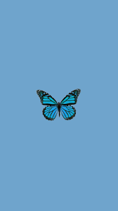 Butterfly Trendy Wallpaper Aesthetic In 2020 Butterfly Wallpaper Iphone Iphone Wallpaper Tumblr Aesthetic Aesthetic Iphone Wallpaper