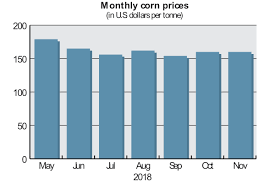 Grain Market Review Coarse Grains 2019 01 17 World Grain