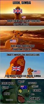 Pin By Dixie Norms On Make Them Laugh Or At Least Smile Australia Funny Aussie Memes Funny Aussie