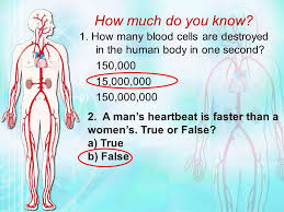 [image_archives first_image_mode=on image_order=desc term_id=2,3,4,5,6,7 ordered_by=date size=thumbnail the_excerpt design=2 title_show=off limit=0,9. How Much Do You Know 1 How Many Blood Cells Are Destroyed In The Human Body In One Second 150 000 15 000 000 A Man S Heartbeat Is Faster Ppt Video Online Download