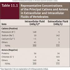 Ion Concentration In Ecf And Icf Google Search