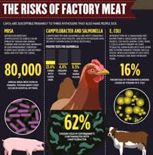 Factory Farming Statistics Google Search
