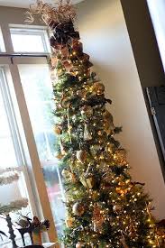 Omg My Living Room In Tiny And I Have A Pencil Christmas Tree Must Do This Tree Topper Elegant Christmas Trees Slim Christmas Tree Skinny Christmas Tree
