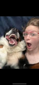 Hi all! I just wanted to introduce myself and share a photo I took at a  local facility. His name is Buckles and he loves to be held and surprise  guests ⚜️