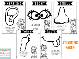 Sort free coloring pages by theme, show, or song. Coloring Pages Of 5 Senses Coloring Home