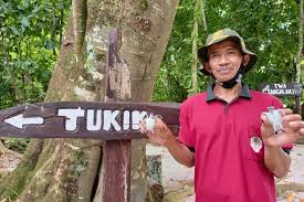 Maybe you would like to learn more about one of these? Kisah Para Penjaga Pulau Sangalaki Selamatkan Ribuan Telur Penyu Tiap Malam Halaman All Kompas Com