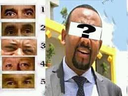 ijji Dr.Abiyi lakkofsa meeqa irratti argamti