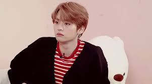 No ads, always hd experience with gfycat pro. Stray Kids Lee Know On We Heart It