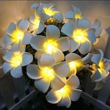 Pin On Home Decor Lighting Led Lights Rattan Balls And Home Decor Accessories Shopcloud