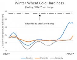 Winter Injury To Winter Wheat In Michigan Msu Extension