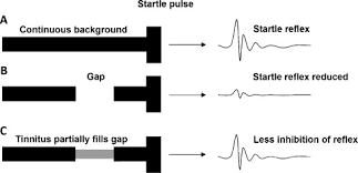 Your doctor may draw blood to check for anemia, thyroid problems, heart disease or treatment for tinnitus depends on whether your tinnitus is caused by an underlying health condition. A Novel Behavioural Approach To Detecting Tinnitus In The Guinea Pig Sciencedirect