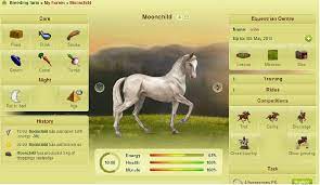 Caring For Your Horses The Book Of Howrse