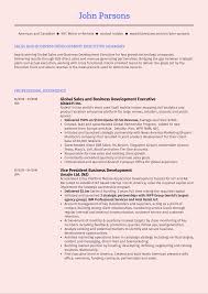 This version of my cv is intended for print output only, and is streamlined from the full version. Business Development Executive Resume Sample Kickresume