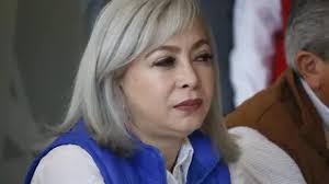 Van cinco panistas para consejeros