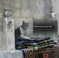 Alpha Memes Khajiit Trader In Real Life Skyrim Meme Memes Funnymemes Comedy Alphamemes Facebook