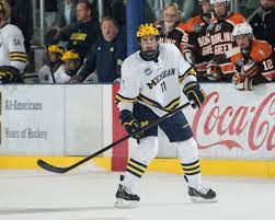 Последние твиты от zach hyman (@zachhyman). Jewish Hockey Player Not Your Typical Children S Author The Times Of Israel