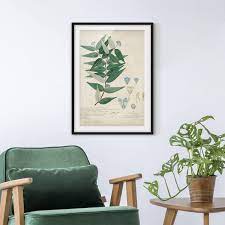 Poster Con Cornice Melastomataceae Ambile Verticale 4 3 Cornici Colorate Cornici Fatte A Mano Verticale