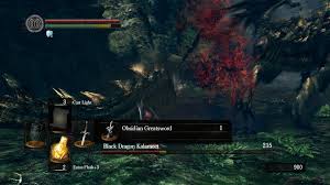 Bonfire (Dark Souls Iii) | Dark Souls Wiki | Fandom