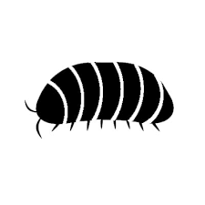It's ok for an establishment to have a pest control company attend them regularly. Residential Insect Control Chicagoland Guardian Pest Control