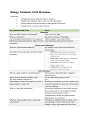 Cellular respiration equation reactants aerobic cellular respiration equation cellular respiration process enzyme catalyzed reactions traps heat in the earth's atmosphere. How Many Molecules Of Oxygen Gas Were Produced 43 How Many Atoms Of Oxygen Are Course Hero