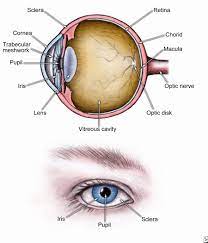 However, the best way to know if you have or are developing a cataract is by scheduling a consultation with one of our eye doctors. Eye Cataracts Surgery Symptoms Types Causes Treatment